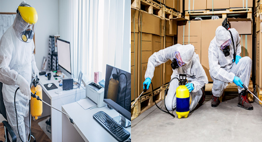 5 lợi ích khi diệt côn trùng nhà máy tại Bến Cát