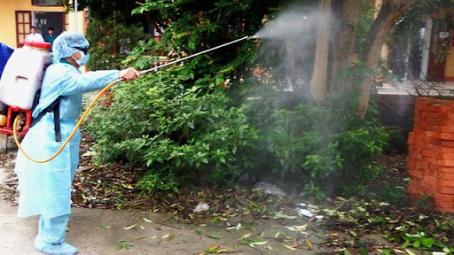 Các bước diệt côn trùng nhà máy tại Quận 5 theo quy trình 5 bước chuyên sâu