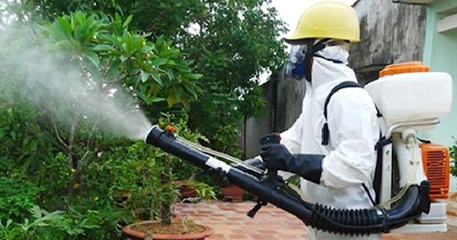 Các bước diệt côn trùng nhà máy tại Quận 5 theo quy trình 5 bước chuyên sâu