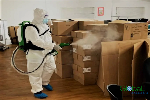 Các bước kiểm soát côn trùng nhà máy tại Tân Bình của Sao Việt