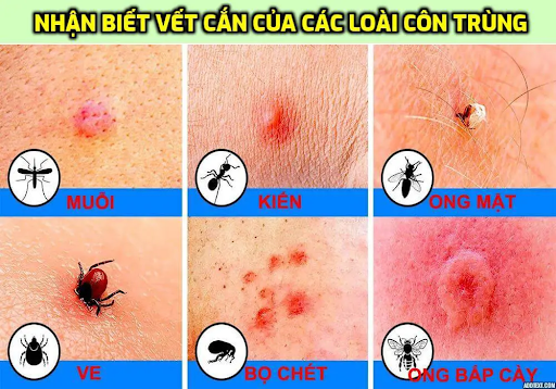 Dấu hiệu nhận biết cần diệt côn trùng nhà máy tại Quận 12?