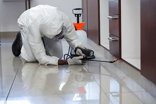 Diệt côn trùng nhà máy tại Biên Hòa – Giải pháp giảm thiểu rủi ro kiểm định