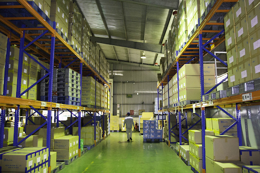 Diệt côn trùng nhà máy tại Biên Hòa – Giải pháp giảm thiểu rủi ro kiểm định