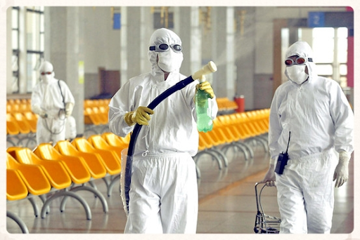 Diệt côn trùng nhà máy tại Định Quán – Bảo vệ dây chuyền sản xuất khỏi gián, ruồi, mối