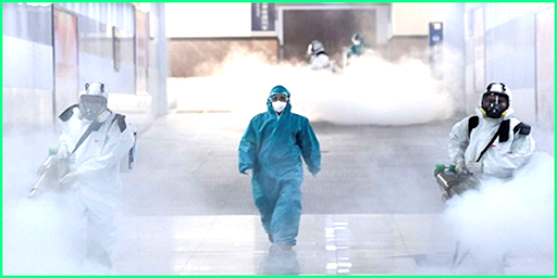 Diệt côn trùng nhà máy tại Định Quán – Bảo vệ dây chuyền sản xuất khỏi gián, ruồi, mối