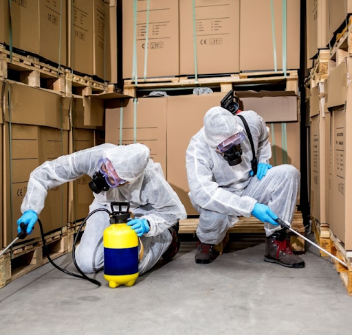 Diệt côn trùng nhà máy tại Long Khánh – Bước đầu xây dựng nhà máy chuẩn ISO