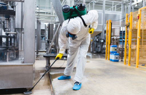 Diệt côn trùng nhà máy tại Long Khánh – Bước đầu xây dựng nhà máy chuẩn ISO