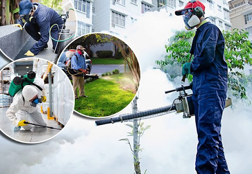 Diệt côn trùng nhà máy tại Quận 1 – Dịch vụ nhanh gọn, không ảnh hưởng hoạt động sản xuất