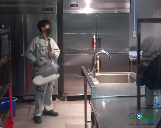 Diệt côn trùng nhà máy tại Quận 11 – Dịch vụ chất lượng từ Sao Việt