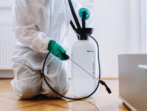 Diệt côn trùng nhà máy tại Quận 11 – Dịch vụ chất lượng từ Sao Việt