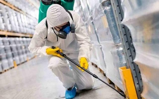 Diệt côn trùng nhà máy tại Quận 11 – Dịch vụ chất lượng từ Sao Việt