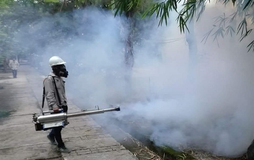 Diệt côn trùng nhà máy tại Quận 3 có cần thiết với ngành thực phẩm?