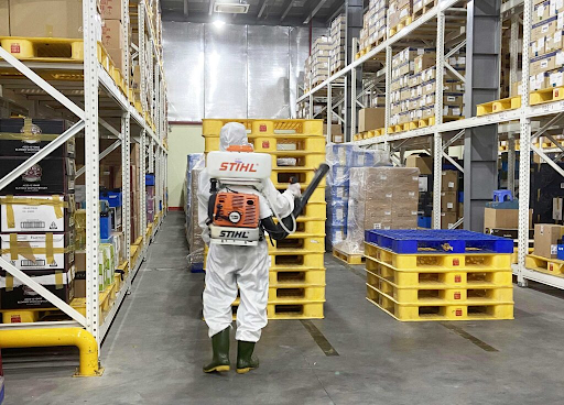 Diệt côn trùng nhà máy tại Quận 6 đúng cách giúp giảm thiểu thiệt hại mùa mưa