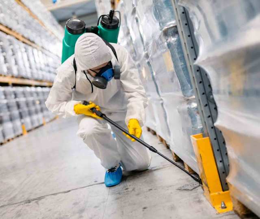 Gói dịch vụ kiểm soát côn trùng nhà máy tại Gò Công theo nhu cầu riêng