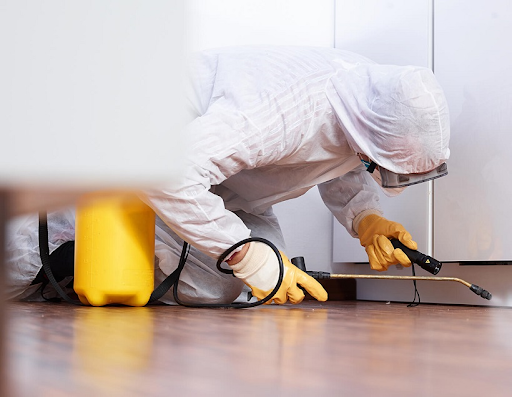 Gói dịch vụ kiểm soát côn trùng nhà máy tại Gò Công theo nhu cầu riêng