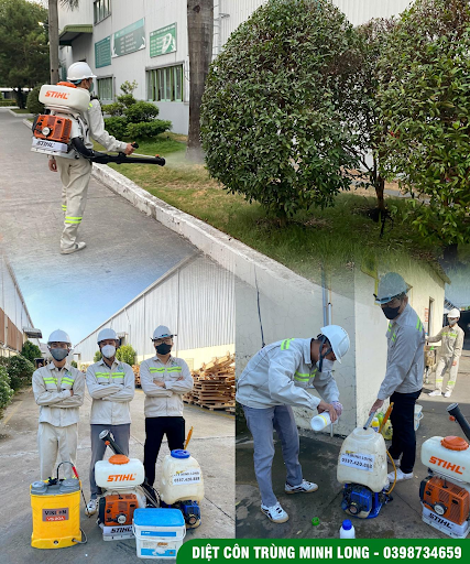 Gợi ý gói dịch vụ kiểm soát côn trùng nhà máy tại Nhơn Trạch cho doanh nghiệp mới