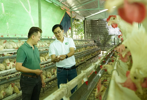 Hệ thống kiểm soát côn trùng tự động cho nhà máy tại Quận 9 – xu hướng mới 2025
