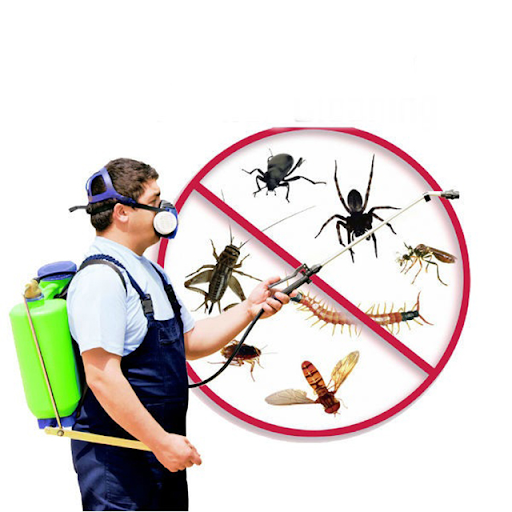 Hệ thống kiểm soát côn trùng tự động cho nhà máy tại Quận 9 – xu hướng mới 2025