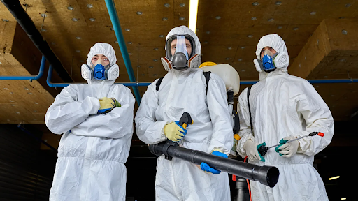 Kiểm soát côn trùng nhà máy tại Bàu Bàng giúp doanh nghiệp đạt chuẩn khi thanh tra kiểm tra