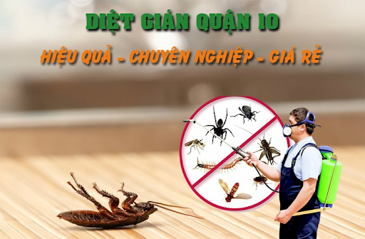 Kiểm soát côn trùng nhà máy tại Quận 10 có cần giấy chứng nhận không?