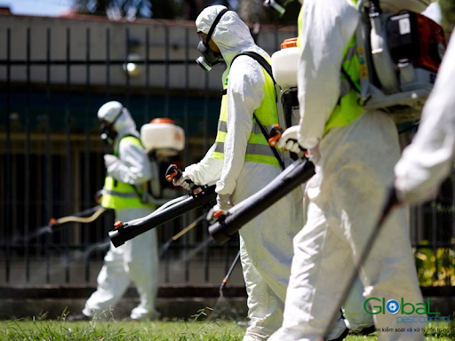 Kiểm soát côn trùng nhà máy tại Tân Uyên – Có bảo hành dịch vụ không?