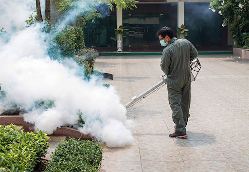Kiểm soát côn trùng nhà máy tại Xuân Lộc – Chìa khóa giữ vững hợp đồng xuất khẩu