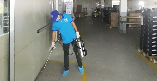 Nên lựa chọn diệt côn trùng nhà máy tại Tân Phước bằng phương pháp nào?