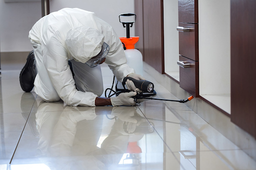 Nên lựa chọn diệt côn trùng nhà máy tại Tân Phước bằng phương pháp nào?