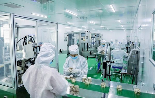 Nhà máy đạt ISO cần lưu ý gì khi diệt côn trùng tại Nhơn Trạch?