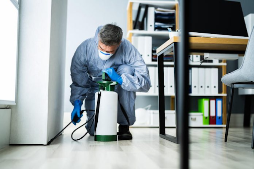 Những yếu tố đánh giá đơn vị diệt côn trùng nhà máy tại Xuân Lộc
