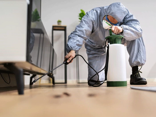 Quy trình kiểm soát côn trùng nhà máy tại Quận 11 từ A đến Z