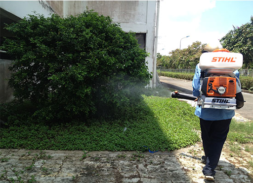 Quy trình kiểm soát côn trùng tại nhà máy Tân Phước chuẩn theo tiêu chí 5S