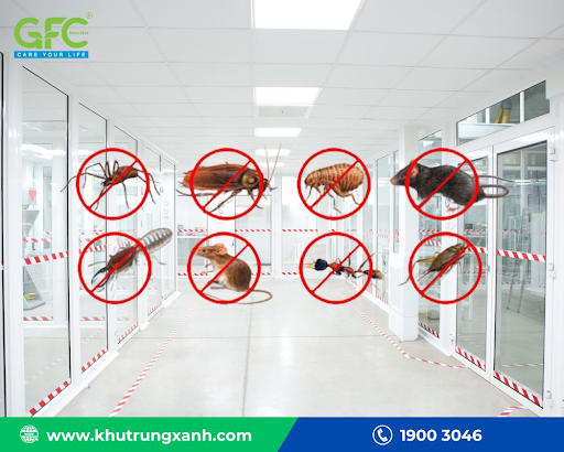 So sánh trước và sau khi kiểm soát côn trùng nhà máy tại Trảng Bom