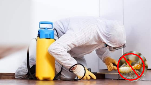 Thiết lập hệ thống kiểm soát côn trùng nhà máy tại Long Khánh như thế nào?