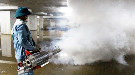 Ưu điểm khi thuê đơn vị kiểm soát côn trùng nhà máy tại Quận 3 chuyên nghiệp