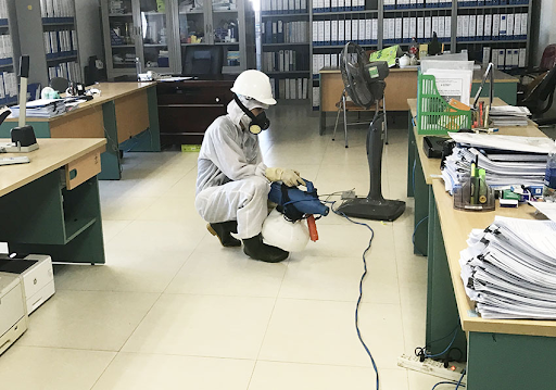 Vì sao nên diệt côn trùng nhà máy tại Phú Giáo ngay trước mùa mưa?