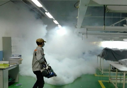 Vì sao nên diệt côn trùng nhà máy tại Phú Giáo ngay trước mùa mưa?