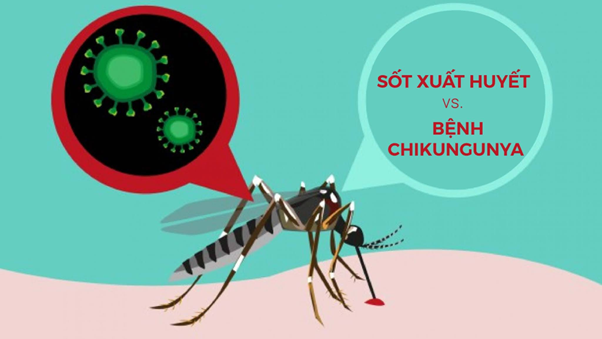 Phòng tránh muỗi