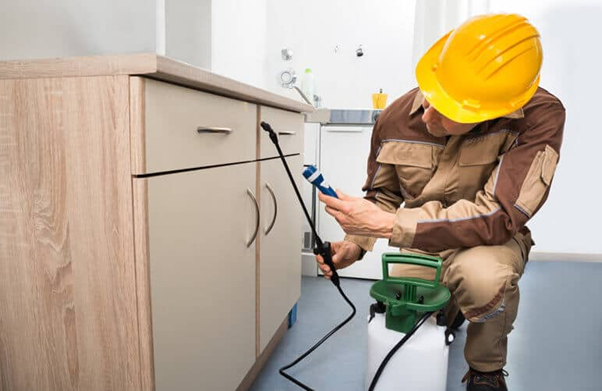 phòng chống mối công sở 