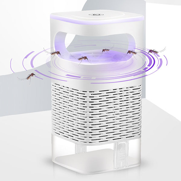 cách chống côn trùng