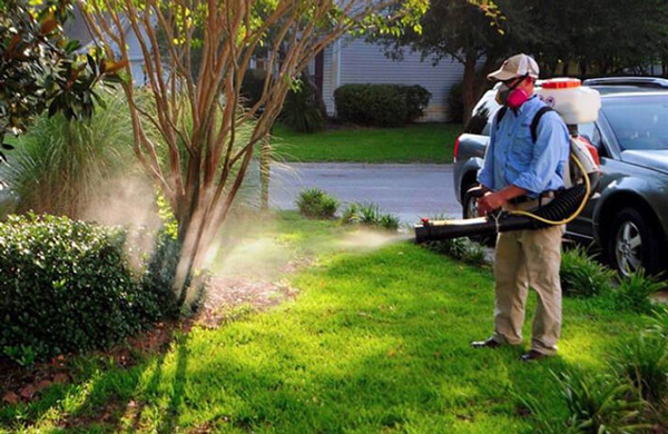 cách chống côn trùng