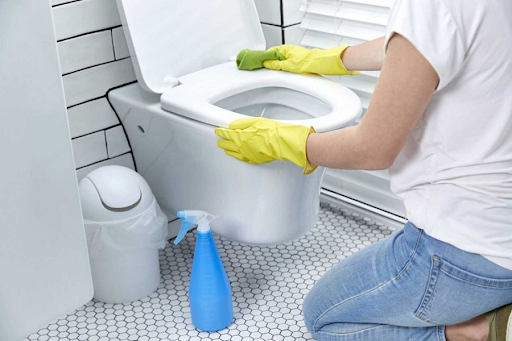 5 mẹo hay xử lý côn trùng trong nhà vệ sinh hiệu quả