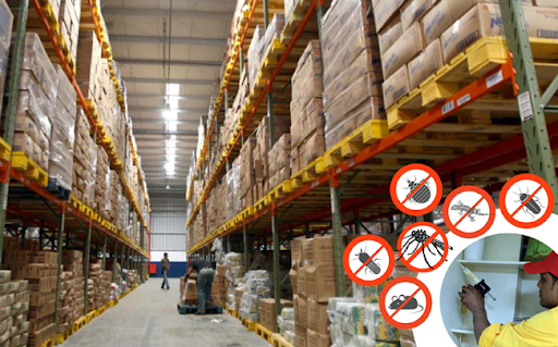 Bảo vệ kho hàng khỏi mối và gián bằng cách nào đảm bảo an toàn?