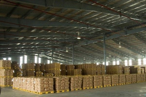 Bảo vệ kho hàng khỏi mối và gián bằng cách nào đảm bảo an toàn?