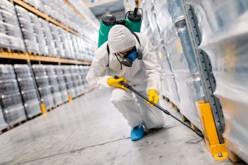 Bảo vệ kho hàng khỏi mối và gián bằng cách nào đảm bảo an toàn?