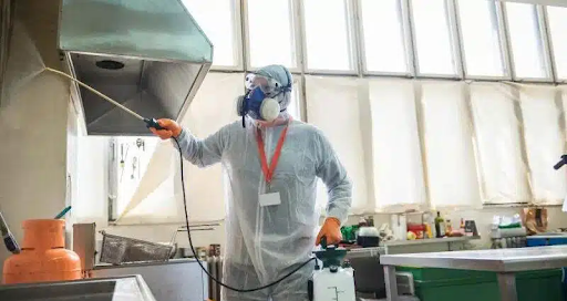 Phòng chống ruồi quán ăn và nhà hàng nhỏ an toàn vệ sinh 