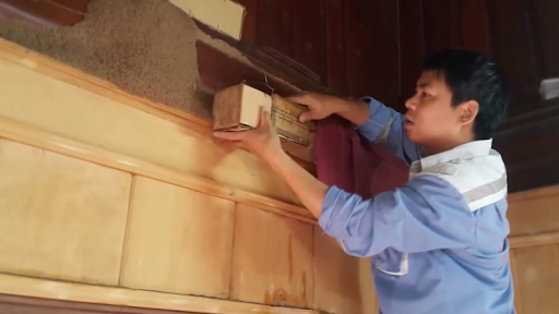 Cách nhận biết dịch vụ diệt gián trần nhà gỗ chất lượng