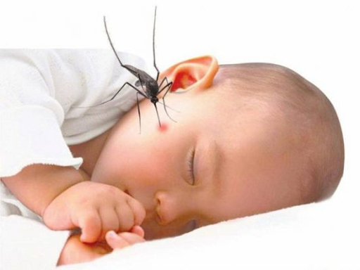 Nhà có trẻ nhỏ phun thuốc diệt côn trùng có được không?