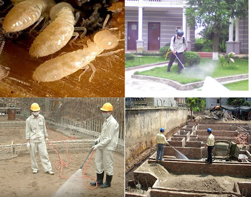 Công trình mới xây có cần phòng chống mối nền móng không?