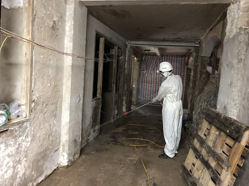 Tại sao nên xử lý mối nền móng ngay khi xây dựng nhà ở?